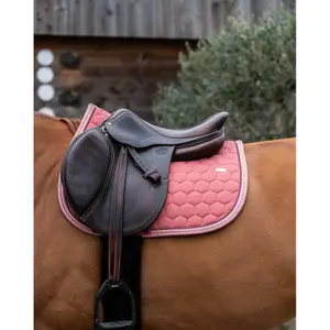 Σέλας για άλογο GEM Atlas Obstacle image-1