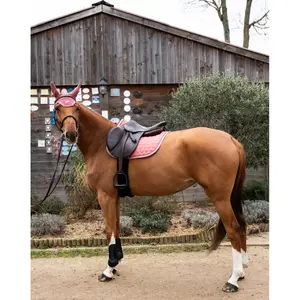 Σέλας για άλογο GEM Atlas Obstacle image-2