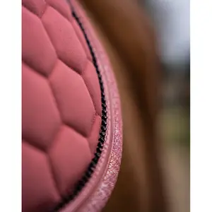 Σέλας για άλογο GEM Atlas Obstacle image-4