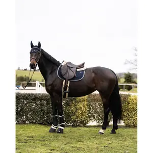 Σέλας για άλογο GEM Atlas Obstacle image-2