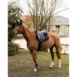 Saddle pad for horses GEM Atlas Obstacle image-2