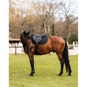 Saddle pad for horses GEM Love Obstacle image-2