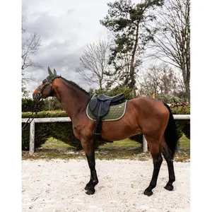 Σέλας για άλογο GEM Atlas Obstacle image-2