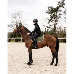 Σέλας για άλογο GEM Atlas Obstacle image-4