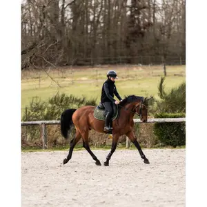 Σέλας για άλογο GEM Atlas Obstacle image-5