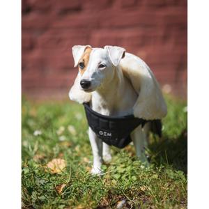 Přikrývka pro psa GEM