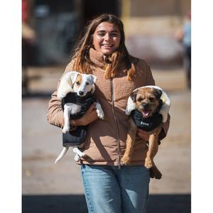 Přikrývka pro psa GEM image-1