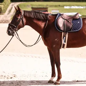 Cso-Matte GEM Oldy image-1
