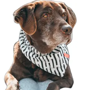 Bandana pour chien motif rayé GEM image-1