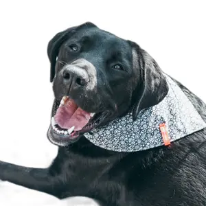 Bandana pour chien motif fleuri GEM image-1