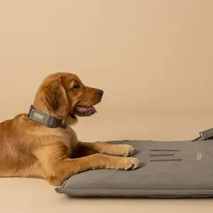 Alfombrillas para perros GEM image-0