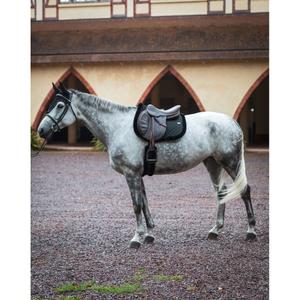 Almofada de sela para cavalos GEM Winter image-4