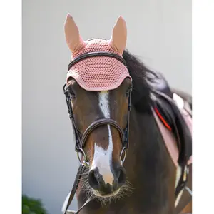 Short Horse Cap GEM Edy image-1