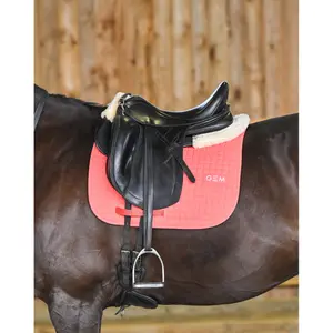 Dressur Schabracke GEM Leo image-2