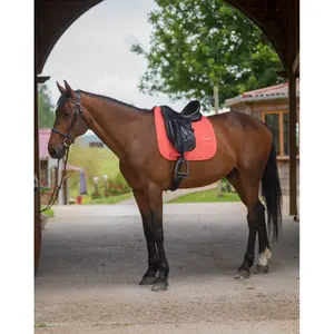 Dressur Schabracke GEM Leo image-3