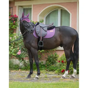 Satteldecke für Pferde GEM Leo image-2