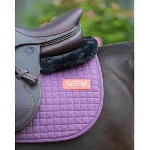 Satteldecke für Pferde GEM Leo image-3