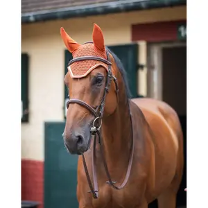 Short bonnet for horses GEM Ten image-1