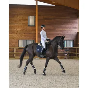 Dressage saddle pad for horses GEM Sony image-2