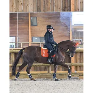 Dressage saddle pad for horses GEM Ten image-3