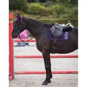 Tapis de CSO GEM Ten Obstacle image-3