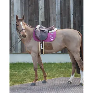 Tapis de CSO GEM Ten image-1