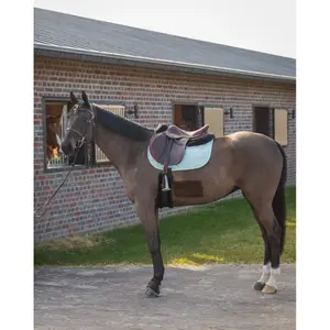 Jumping Saddle Pad GEM Love image-1
