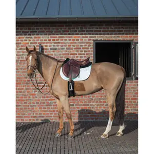 Jumping Saddle Pad GEM Love image-2