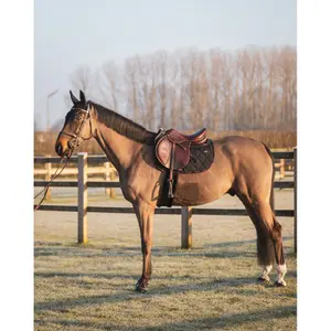 Jumping Saddle Pad GEM Love image-1