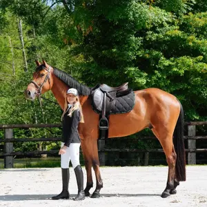 Almofadas de selim GEM Love image-2