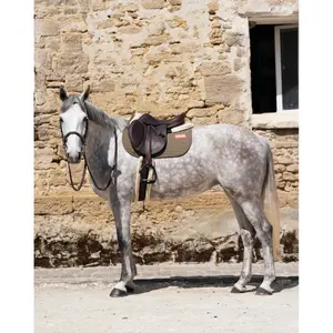 Sadelunderlag til heste GEM Leo Obstacle image-2