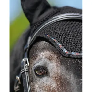 Fliegenhaube GEM image-2