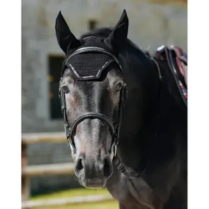 Fliegenhaube GEM image-1