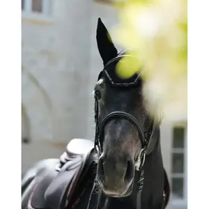 Fliegenhaube GEM image-1