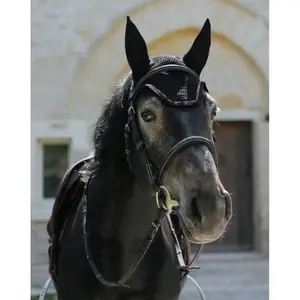 Fliegenhaube GEM image-2
