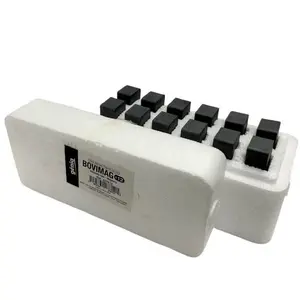Magneet Génia Stomacal (x12) image-0