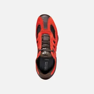 Women's Sneakers Geox Archive Snake image-5