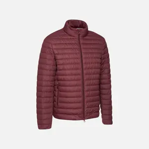 Down jacket Geox Warrens image-1