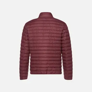 Down jacket Geox Warrens image-4