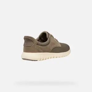Trainers Geox Flextride F Plus image-1