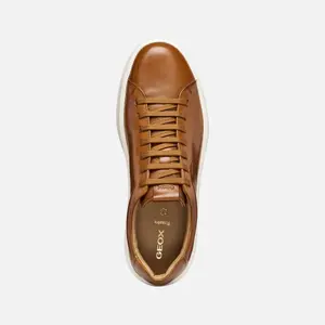 Trainers Geox Velletri image-4