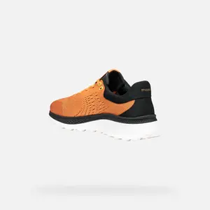 Trainers Geox Spherica Actif X1 image-3