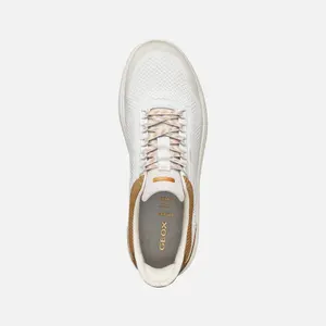 Sneakers Geox Spherica Plus image-4