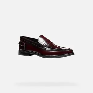 Moccasins Geox Ellmoor image-1