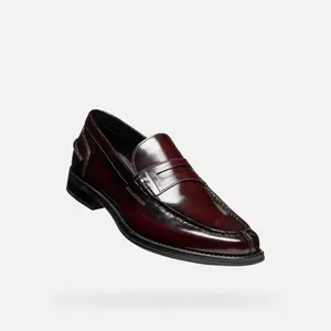 Moccasins Geox Ellmoor image-3