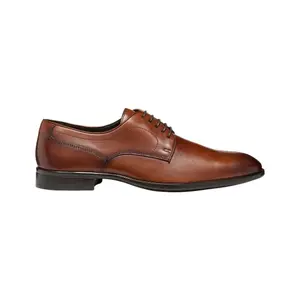 Derbie de cuero Geox Thalos