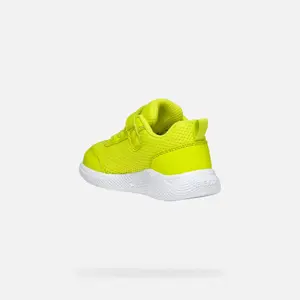 Baby boy Trainers Geox Sprintye image-3