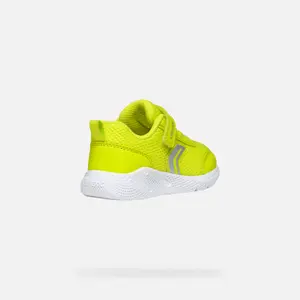 Baby boy Trainers Geox Sprintye image-4