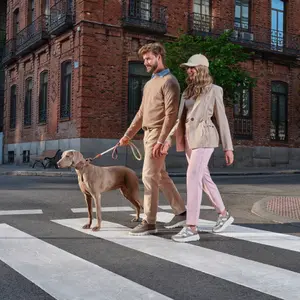 Sneakers Geox Diamanta image-6