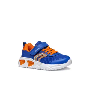 Baby boy Trainers Geox Assister C image-1
